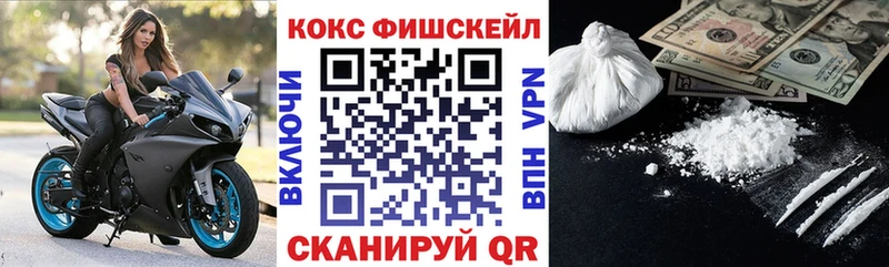 COCAIN Fish Scale  Купить где  Ленинградская 
