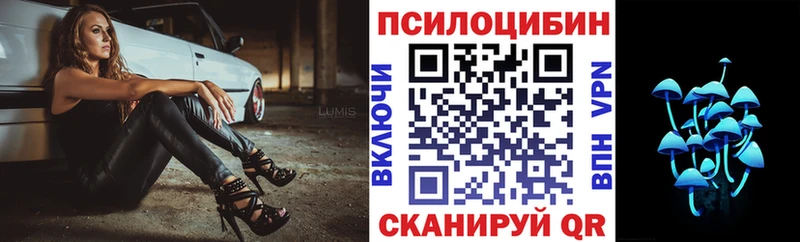 Купить где  Ленинградская  Псилоцибиновые грибы Psilocybine cubensis 